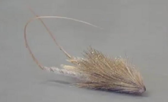 植物传播方法100种短句