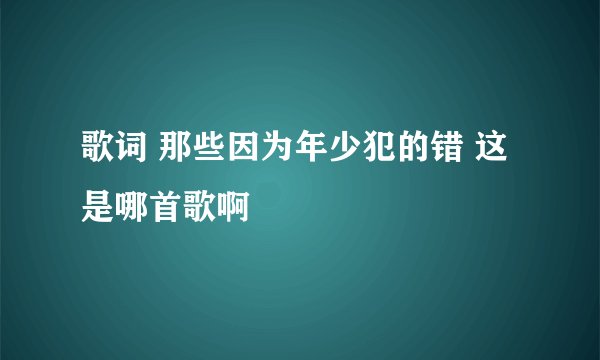 歌词 那些因为年少犯的错 这是哪首歌啊