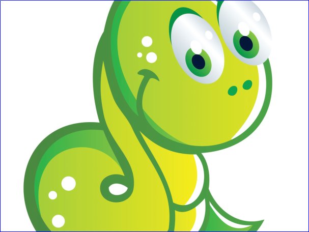 后宫的生肖是哪个生肖的动物