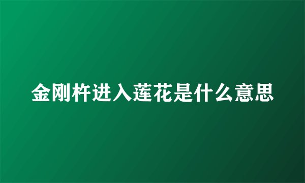 金刚杵进入莲花是什么意思