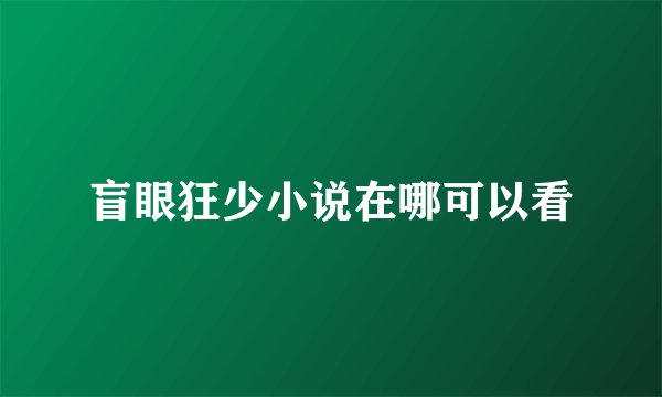 盲眼狂少小说在哪可以看