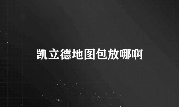 凯立德地图包放哪啊