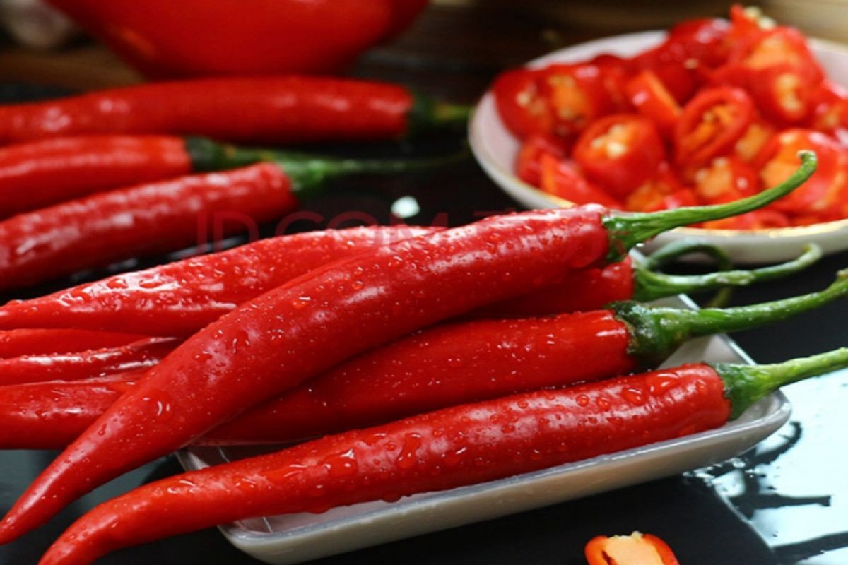 官风与民风的关系理解