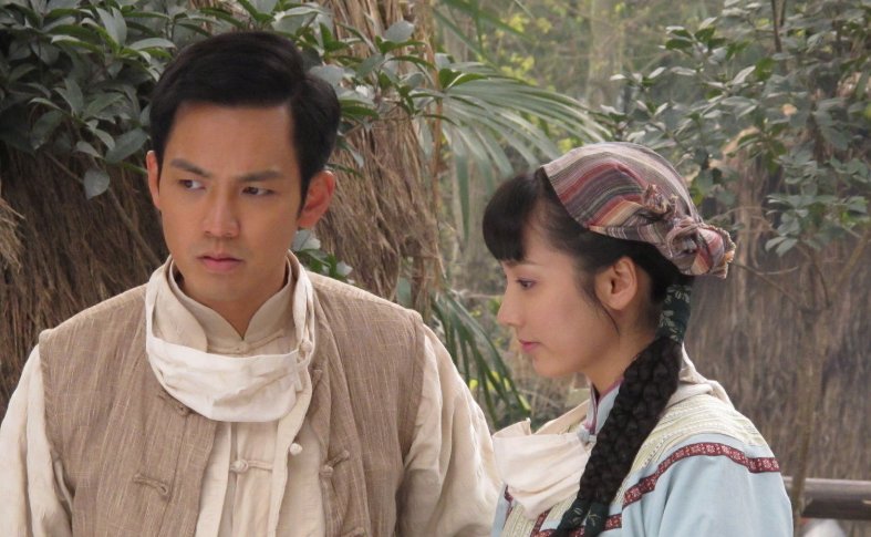 菩提树下电视剧剧情