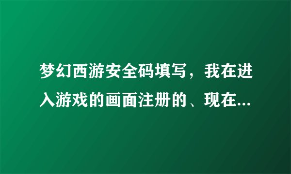梦幻西游安全码填写，我在进入游戏的画面注册的、现在20J升不了级，说要填写安全码，不知道在哪里填写谢谢