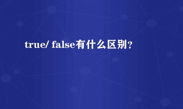 true/ false有什么区别？