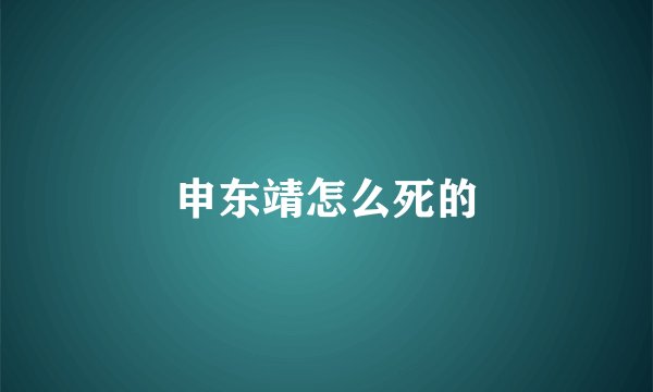 申东靖怎么死的