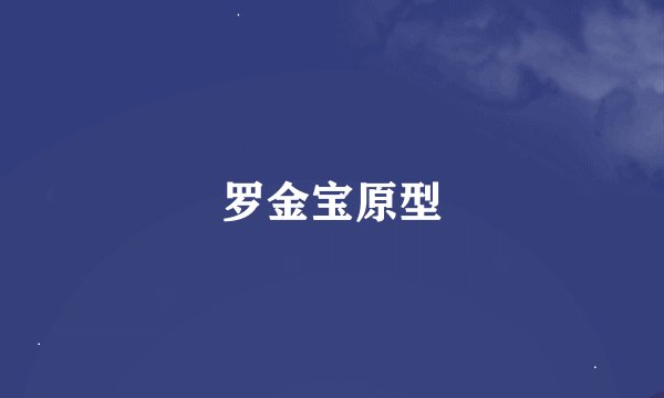 罗金宝原型