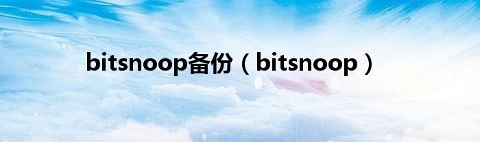 bitsnoop备份bitsnoop