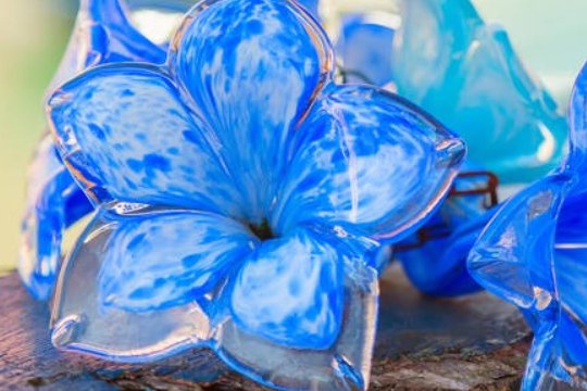 蓝琉璃的花语是什么