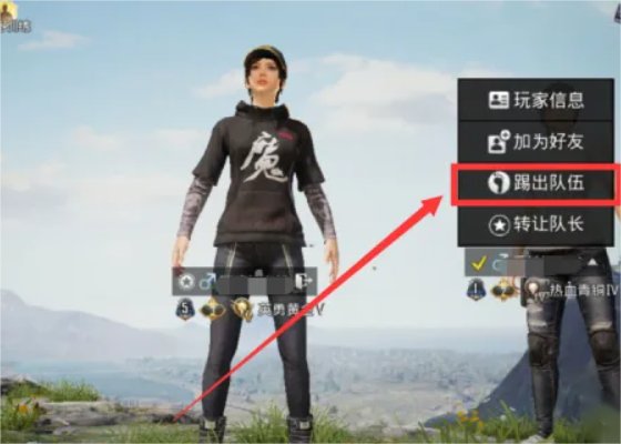 和平精英怎么踢人