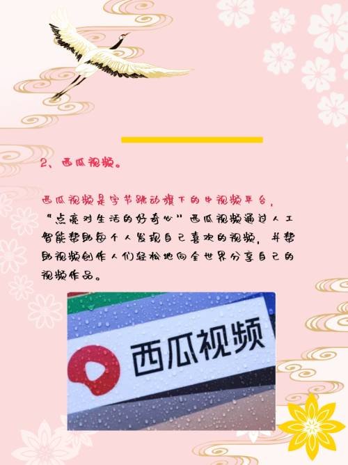 b站上的短视频app哪个最火？