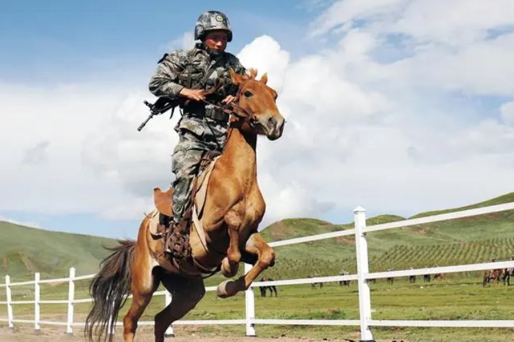 秣马厉兵枕戈待旦出自哪首诗