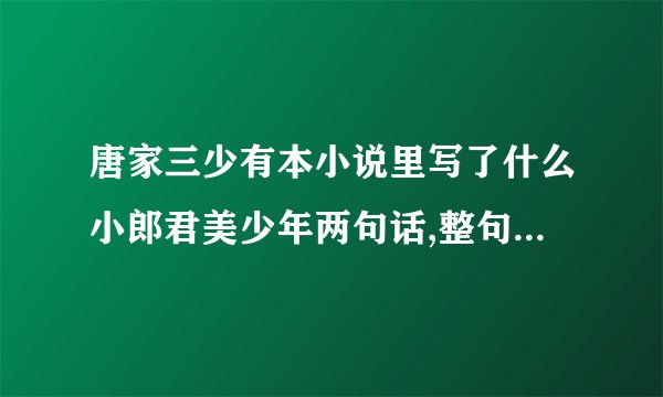 唐家三少有本小说里写了什么小郎君美少年两句话,整句是什么？是主角很臭屁形容自己的话