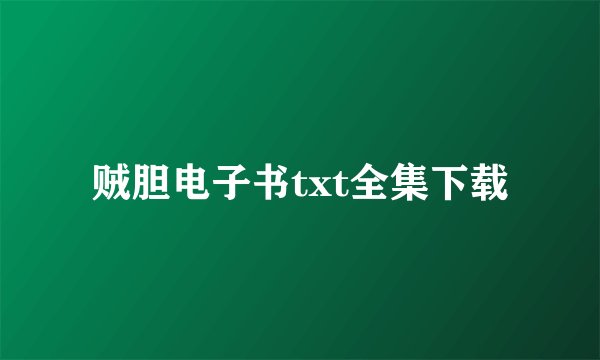 贼胆电子书txt全集下载