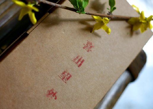 捷报频传什么意思