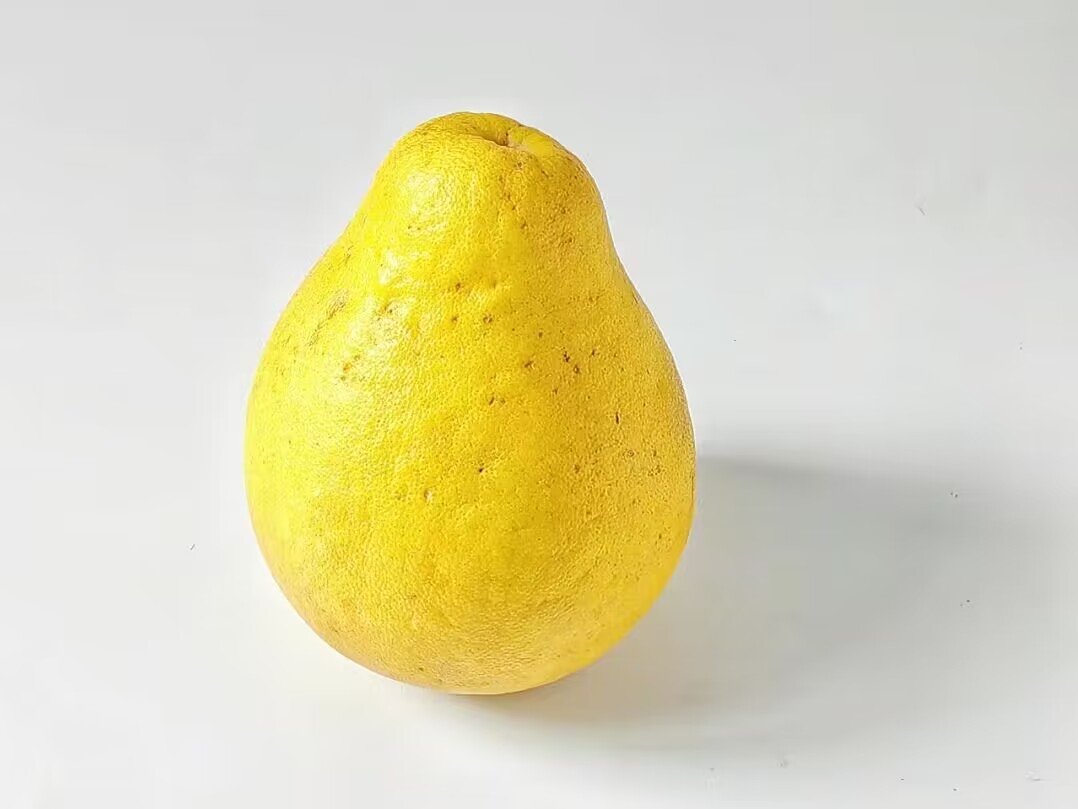 什么水果不能上供