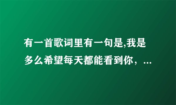 有一首歌词里有一句是,我是多么希望每天都能看到你，女生唱的