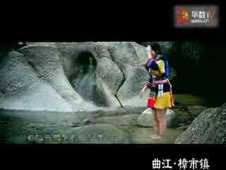 东奔西游的介绍