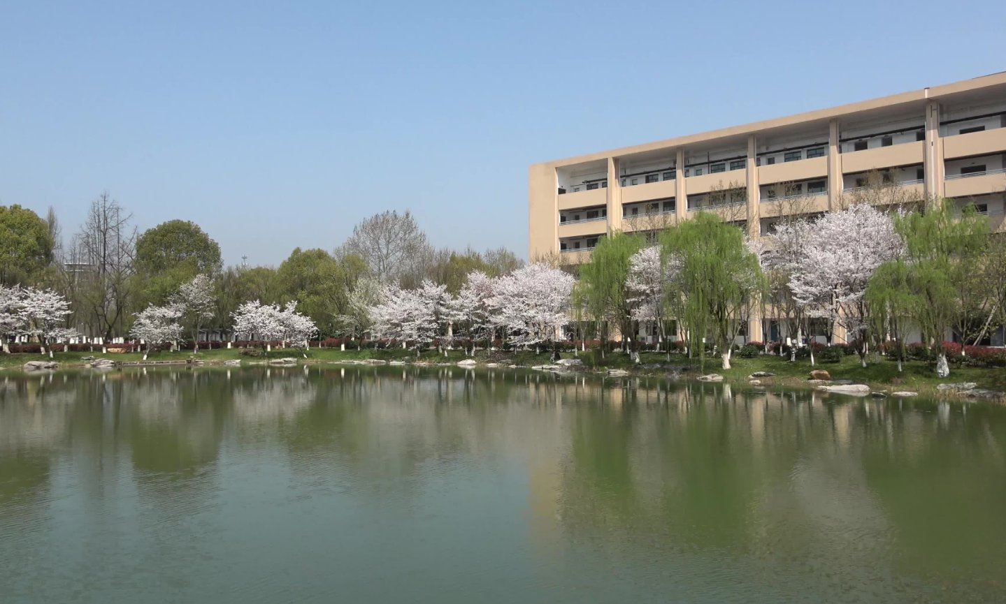 江南10校联考是哪10所学校？