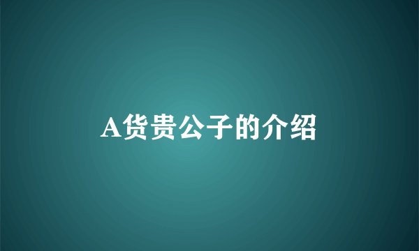 A货贵公子的介绍