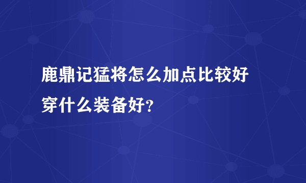 鹿鼎记猛将怎么加点比较好 穿什么装备好？