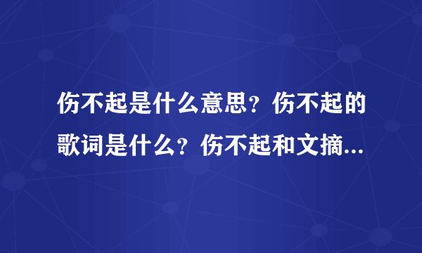 伤不起是什么意思？伤不起的歌词是什么？伤不起和文摘酷是什么关系？