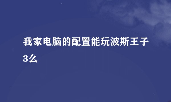 我家电脑的配置能玩波斯王子3么