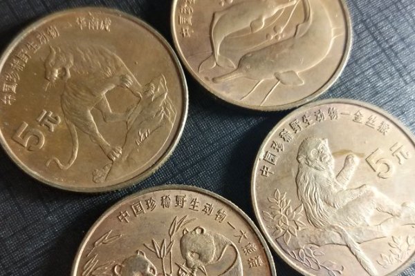 人物与动物交互在钱里叫什么