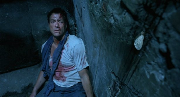 叛狱狂飙的介绍