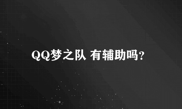 QQ梦之队 有辅助吗？