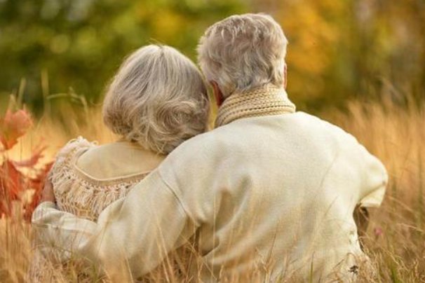 伉俪的意思是什么