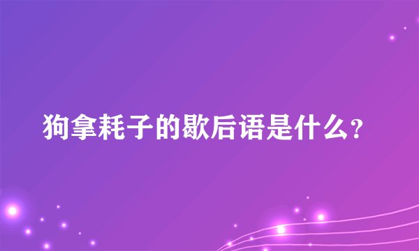 狗拿耗子的歇后语是什么？