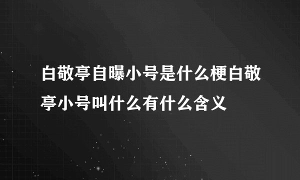 白敬亭自曝小号是什么梗白敬亭小号叫什么有什么含义