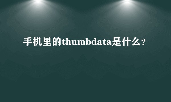 手机里的thumbdata是什么？