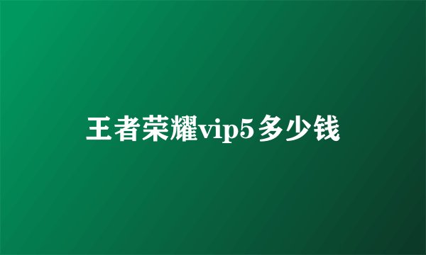 王者荣耀vip5多少钱