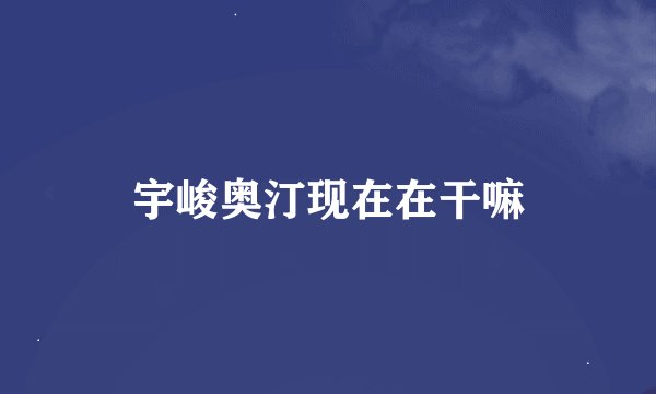 宇峻奥汀现在在干嘛