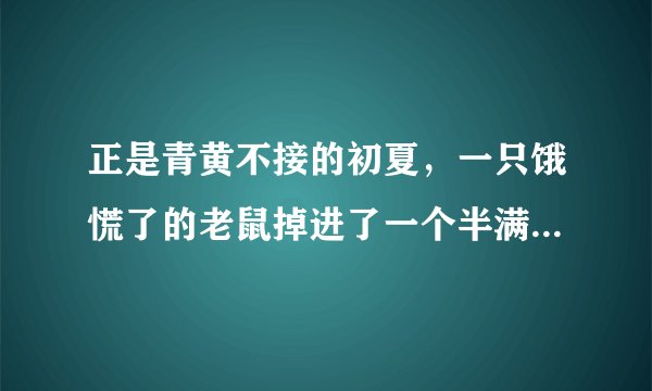 正是青黄不接的初夏，一只饿慌了的老鼠掉进了一个半满的米缸。在经过最初的警惕之后，它就一通