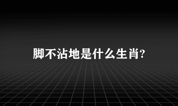 脚不沾地是什么生肖?