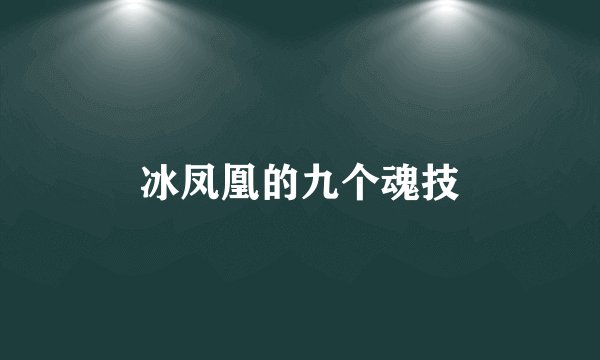 冰凤凰的九个魂技