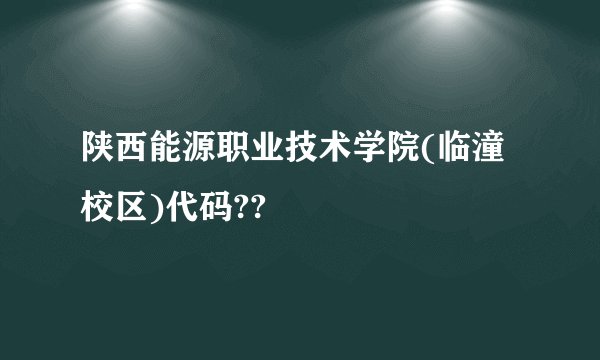 陕西能源职业技术学院(临潼校区)代码??