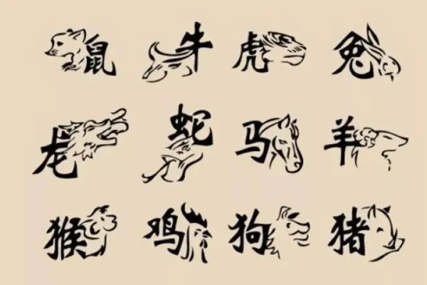 有影无踪打一个生肖