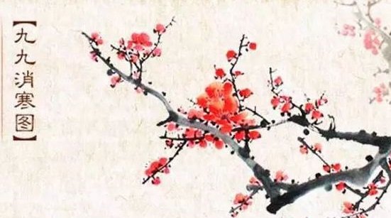 六九是什么意思