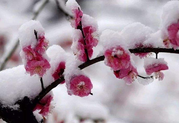 小学一年级:一片两片三四片是指什么东西