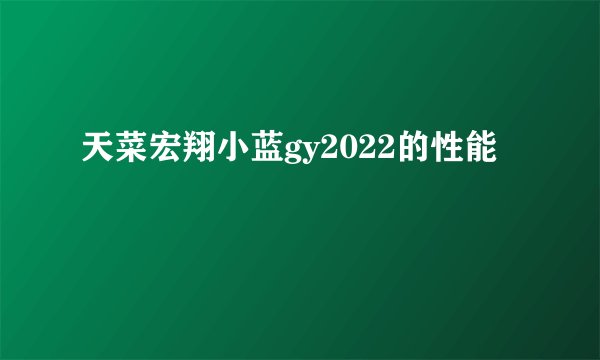 天菜宏翔小蓝gy2022的性能