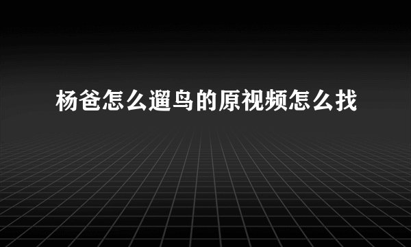 杨爸怎么遛鸟的原视频怎么找