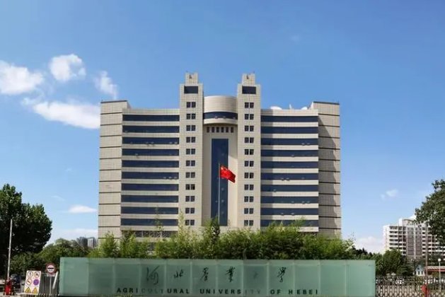 3+4是什么意思？