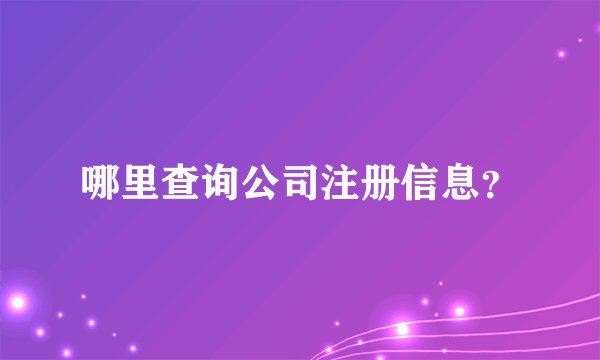 哪里查询公司注册信息？