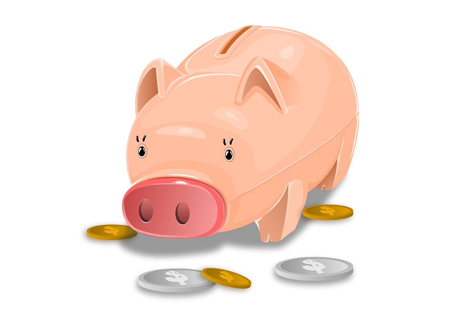 急如风火什么生肖