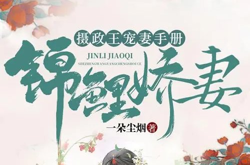 秦慕修和赵锦儿的小说叫什么名字